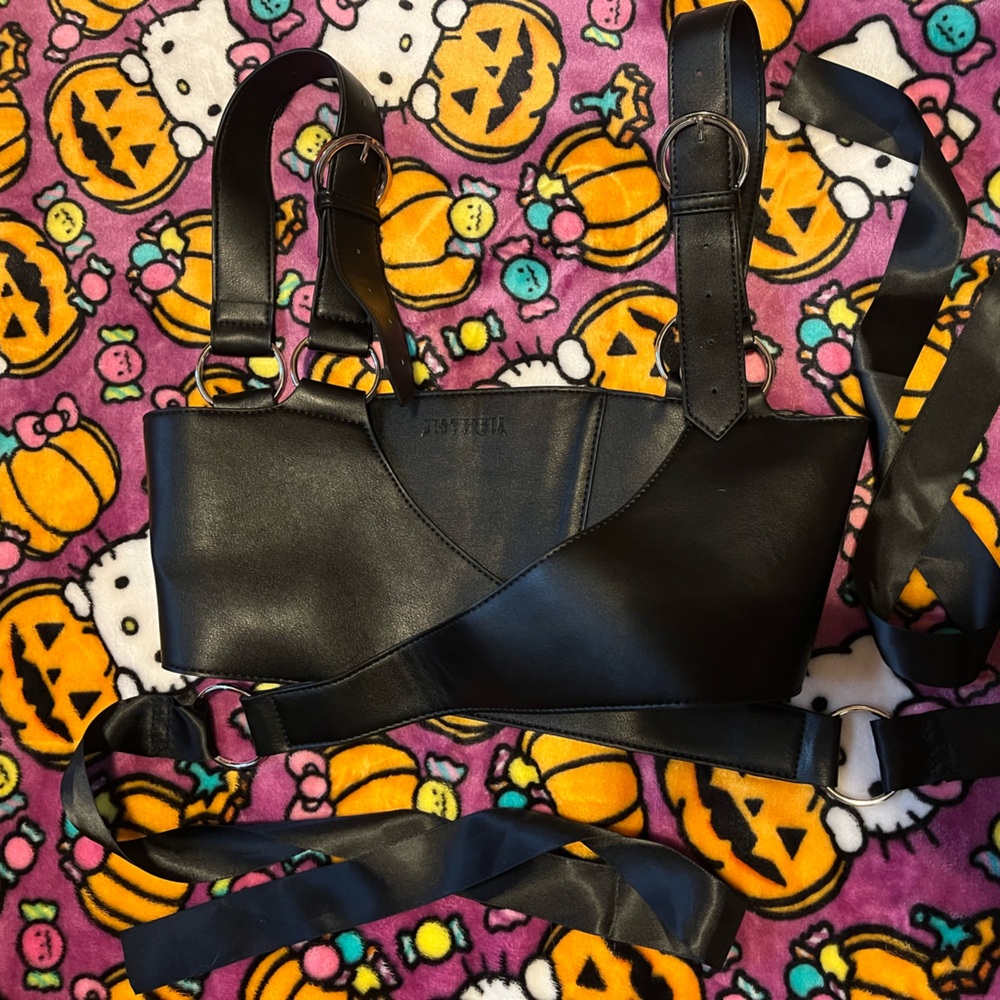 Disturbia Aerial Wrap Harness